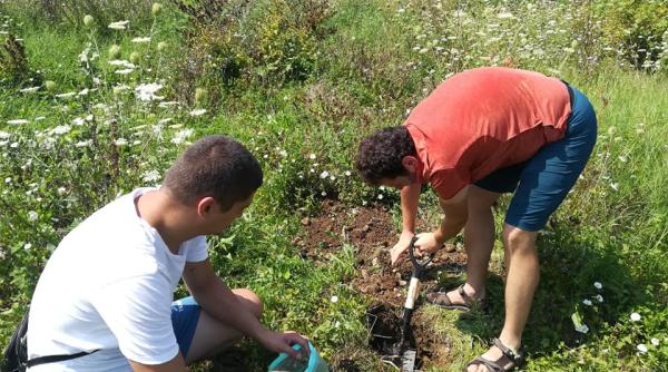 noua padure in popesti leordeni ciutescu speram ca acest plaman verde sa reprezinte o speranta