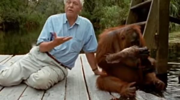 david attenborough cea mai populara persoana in randul britanicilor