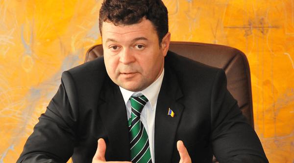 marilen pirtea pnl avertisment despre derapajele din economie