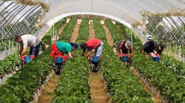 forumul international al marilor fermieri la bucuresti