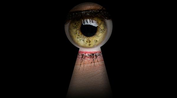 fost premier european ascuns in apropiere de romania