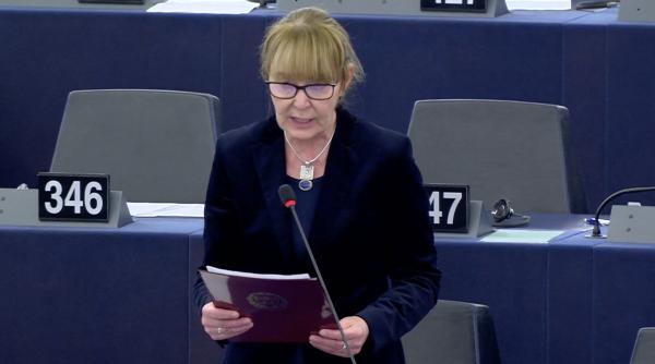 marilena stancu consiliera monicai macovei publica un plan controversat