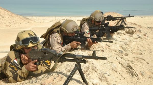 sase tari arabe demonstratie de forta militara