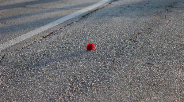 jandarmerita ucisa moment emotionant pe trecerea de pietoni