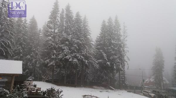 meteo final de noiembrie 2018 elena mateescu anm unde va ninge vreme de iarna