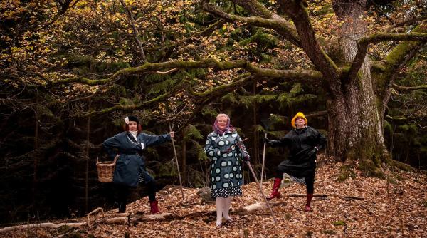 paduri curate finlandezii ii raspund lui trump