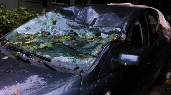 primaria capitalei comandament 19 masini avariate de copaci