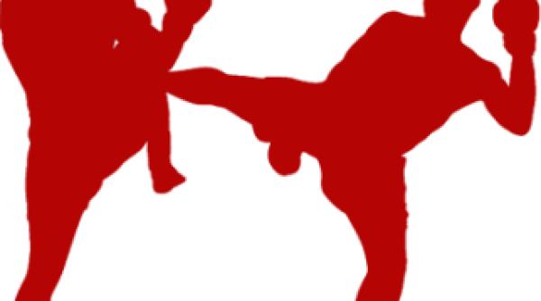 romania aur si argint la campionatele mondiale de mma