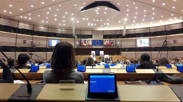 premiera in ue acord privind examinarea investitiilor straine