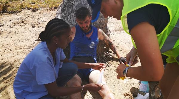 ultimul trib 22 noiembrie silviu mircescu e foarte frustrant