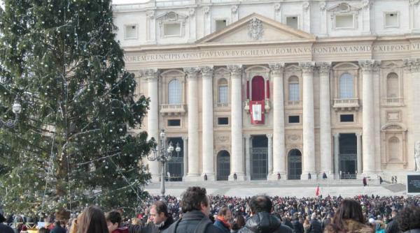 bradul de craciun la vatican amplasat in piata sfantul petru