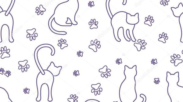 intalnire cu motanul muzeului literaturii misiunea pisissicius