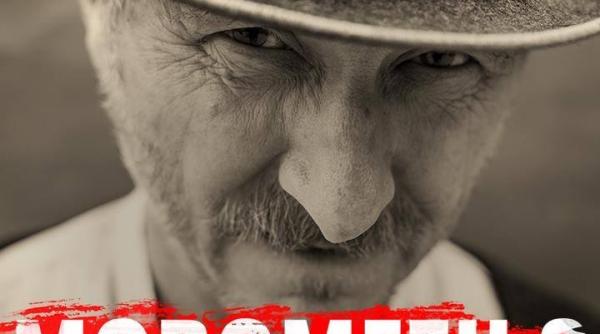 morometii 2 scena cheie irina margareta nistor afisul este in defavoarea lui