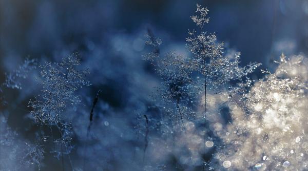 anm prognoza meteo noiembrie vremea rea loveste romania