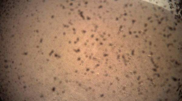 sonda spatiala insight primul sefie de pe marte