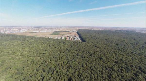 greenfield tudorache veste fabuloasa le promit video