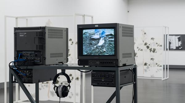 charlotte prodger premiata pentru un film inregistrat cu telefonul mobil