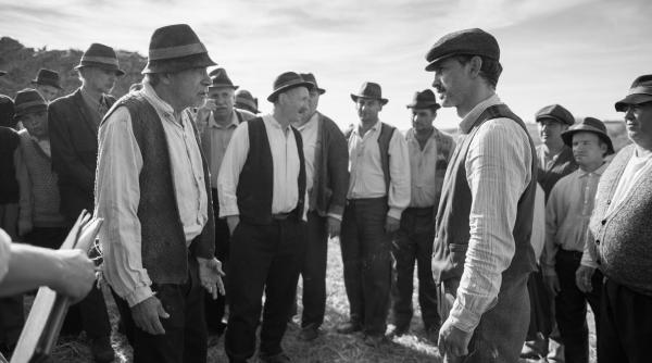 morometii 2 din pacate