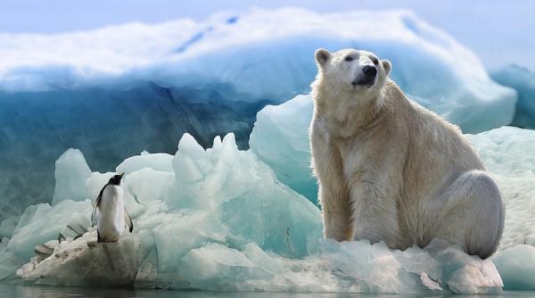 terra amenintata de topirea permafrostului