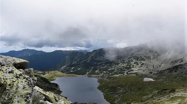 arii protejate in romania adi croitoru a fost un dezastru nu se mai putea