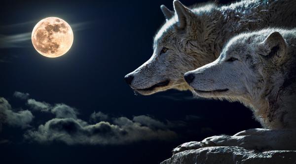 luna plina in rac semnificatii astrologice