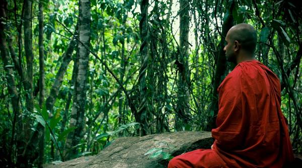 calugar ucis in timp de medita intr o rezervatie de tigri