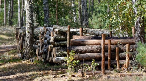 criza lemnelor de foc fordaq se prefigureaza un blocaj