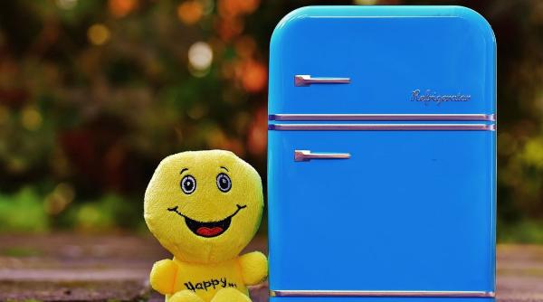 dr mihaela bilic analfabetismul emotional ingrasa iata cum