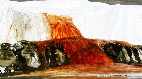 ghetarul care sangereaza imagini care dau fiori