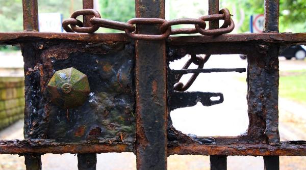 trei universitati din romania desfiintate iohannis a semnat