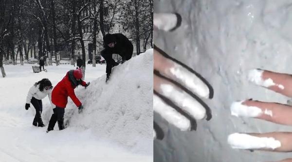 oras siberian cu zapada vopsita reactie primar video