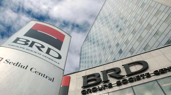 program banci craciun ing si brd