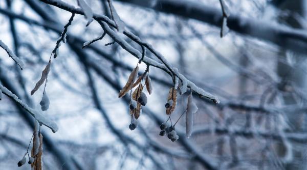 anm prognoza meteo vremea se schimba radical cand vin gerul si ninsorile