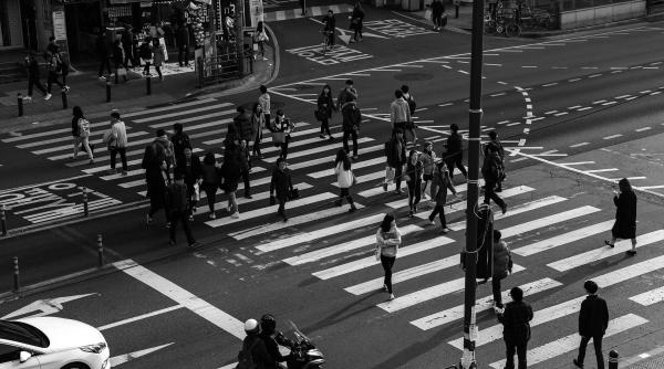 studenti gratuitate pe tren alternative care ar putea sa inlocuiasca sistemul nelimitat de calatorii