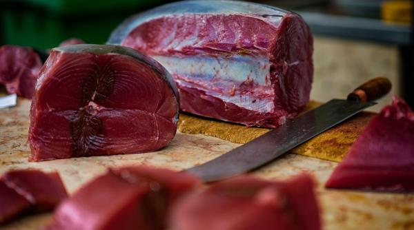 un singur peste vandut cu aproape 3 milioane euro cum a fost posibil