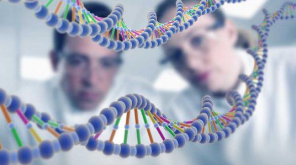 primii copii modificati genetic scandal in lumea stiintifica