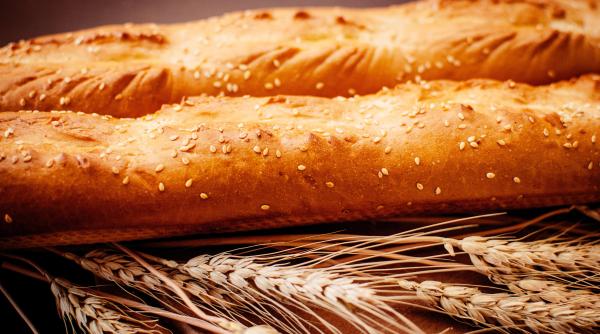 record guinness obtinut de mexic pentru cel mai mare colac traditional