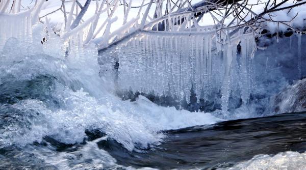 caine captiv in apa inghetata oamenii au auzit schelalaitul ce s a intamplat cu animalul