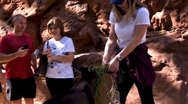 update tenis adversara dificila pentru simona halepaustralian open simona halep kaia kanepi in primul tur in primul tur la australian open kaia kanepi