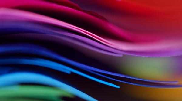 liiceanu plangere impotriva lui antonesei lucrurile sunt evidente