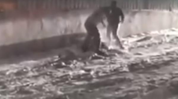 crima medias rasturnare de situatie ce a sesizat comisarul untaru