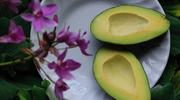 dieta cu avocado slabeste 5 kilograme in timp record fara sa depui efort