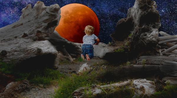 eclipsa totala de luna 21 ianuarie 2019 video