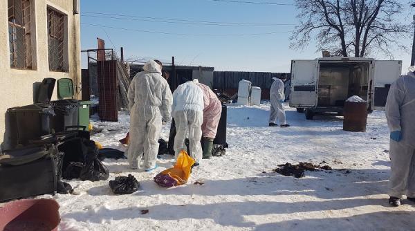 proprietarul adapostul din prejmer eliberat dintr un motiv halucinant marinescu reactie fulger