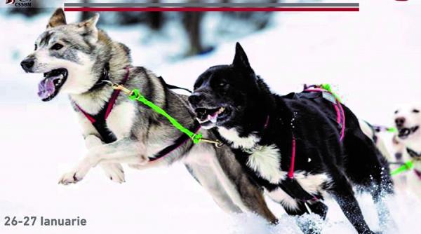 drumul romanilor concurs cu caini in pasul tihuta