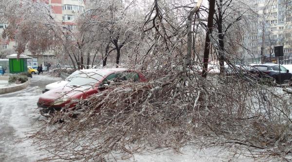 bucuresti barbat strivit de un copac cazut interventie de urgenta