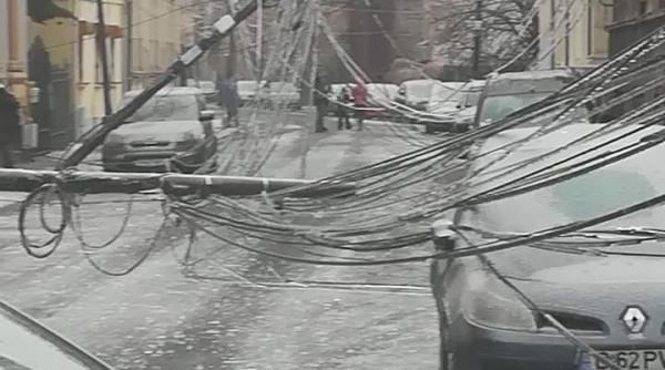 bucurestiul paralizat de sute de copaci cazuti foto