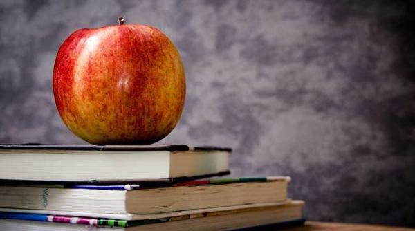 mese gratuite elevi ce se intampla cu portiile de hrana