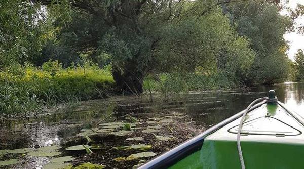 cormoranii si pescarusii  atractie pentru turistii care vin in delta