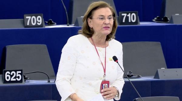 maria grapini nominalizata la mep awards